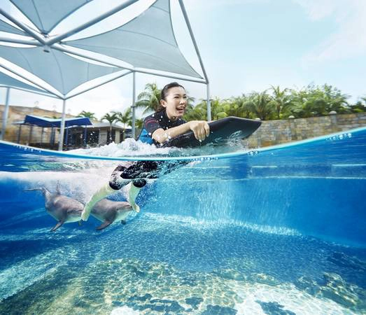 Đến Resorts World Sentosa Singapore đừng quên trải nghiệm tại Đảo Cá Heo đầy thú vị