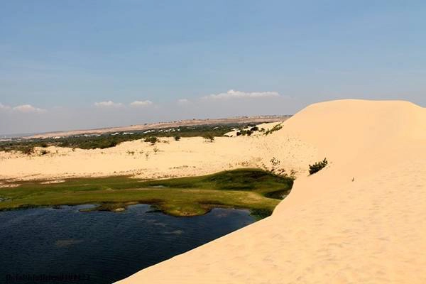 Đồi cát Bàu Trắng - ‘tiểu sa mạc Sahara’ ở Bình Thuận