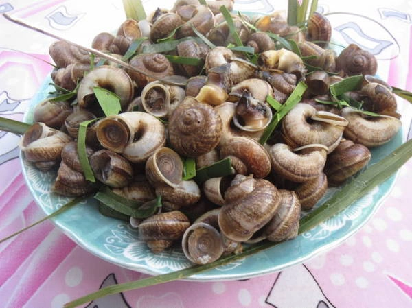 Du lịch An Giang ‘săn’ món ngon ốc núi vùng Bảy Núi