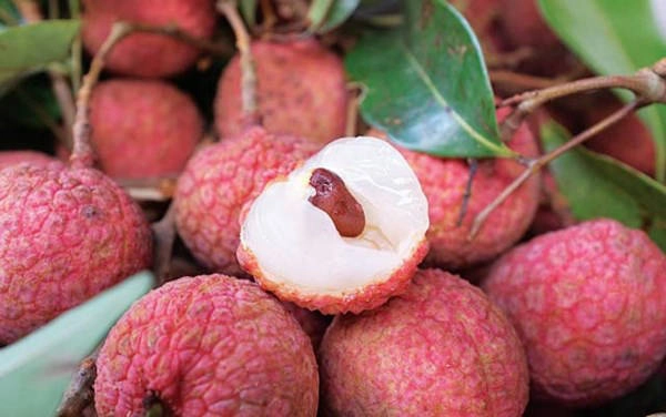 Du lịch Bắc Giang thưởng thức 10 món ngon có tiếng