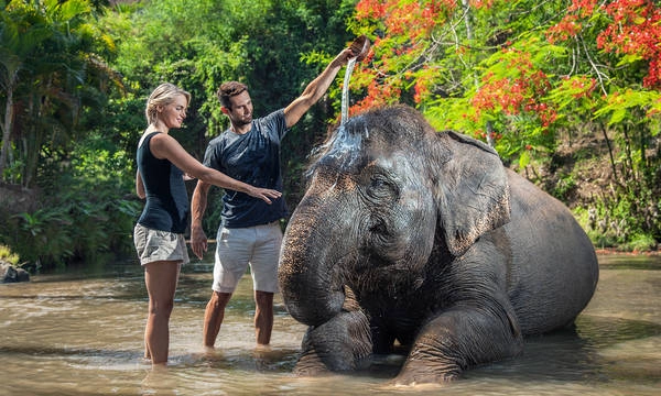 Du lịch Bali trải nghiệm những điều tuyệt vời ở Ubud