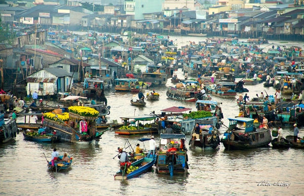 Du lịch Cần Thơ: Cẩm nang từ A đến Z