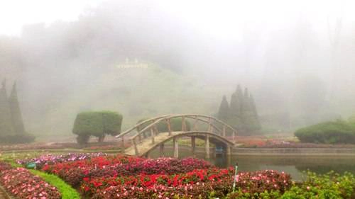 Du lịch Chiang Mai tìm hiểu lễ thả đèn trời và làng làm ô truyền thống