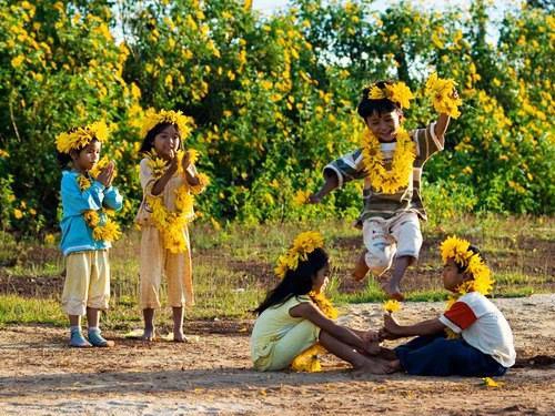 Du lịch Đà Lạt mùa hoa dã quỳ nở rộ