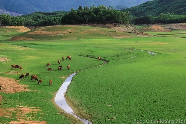 Du lịch Đà Nẵng khám phá hồ nước cạn như ‘thảo nguyên Mông Cổ’