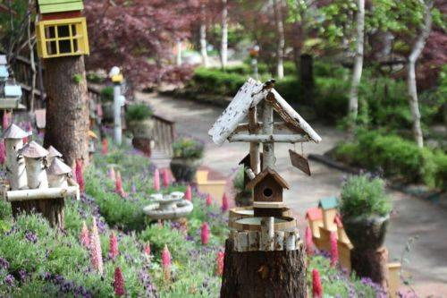 Du lịch Hàn Quốc khám phá những điểm dừng chân hấp dẫn ở Pyeongchang