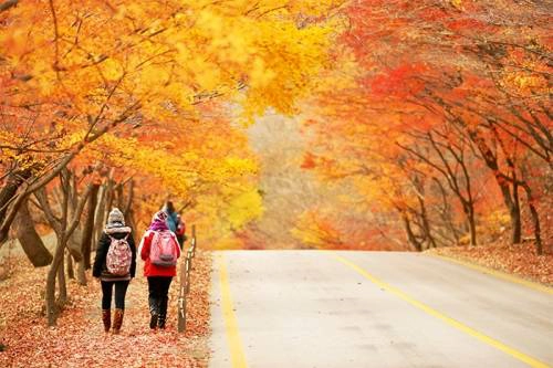 Du lịch Hàn Quốc ngắm 5 ngọn núi đẹp mùa lá đỏ