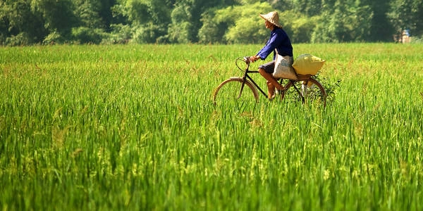 Du lịch Mai Châu: Cẩm nang từ A đến Z