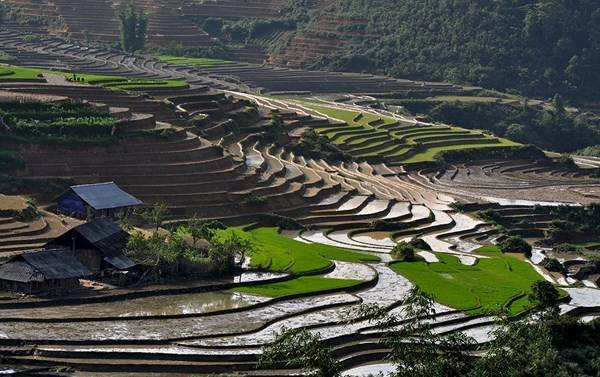Du lịch Sa Pa ngắm ruộng bậc thang quyến rũ mùa nước đổ