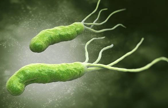 Helicobacter pylori và bệnh hắc võng mạc trung tâm thanh dịch