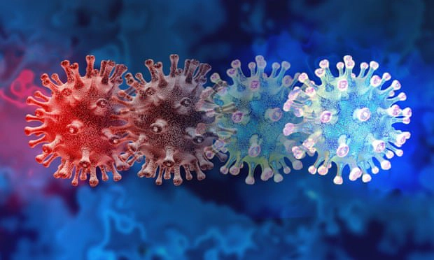 Hiện đã có bao nhiêu biến chủng virus sars-cov-2?