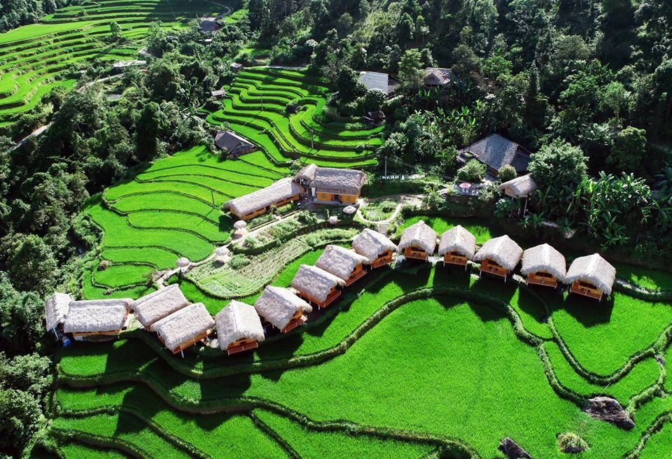 Hoang Su Phi Lodge, homestay ngắm mùa lúa đẹp xuất sắc ở Hà Giang