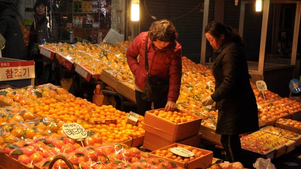 Jeju, ký ức thơm mùi cam tươi