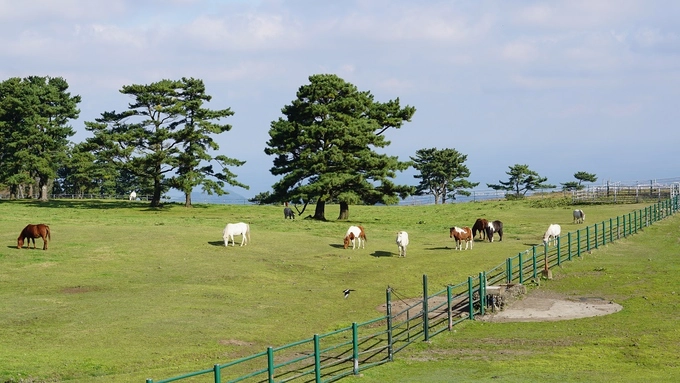 Jeju - thiên đường biển đảo của xứ sở kim chi