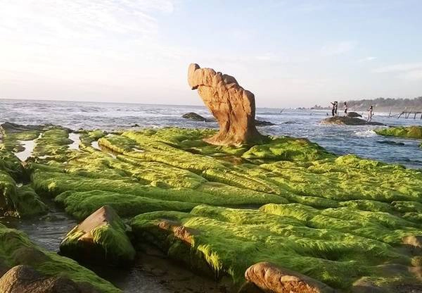 Khám phá Cổ Thạch - Vùng đất hoang sơ của du lịch Bình Thuận