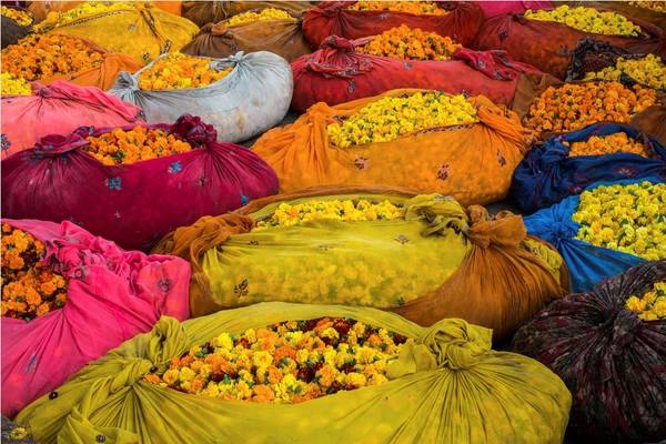 Khám phá cuộc sống đầy sắc màu của Ấn Độ qua những bức ảnh ấn tượng