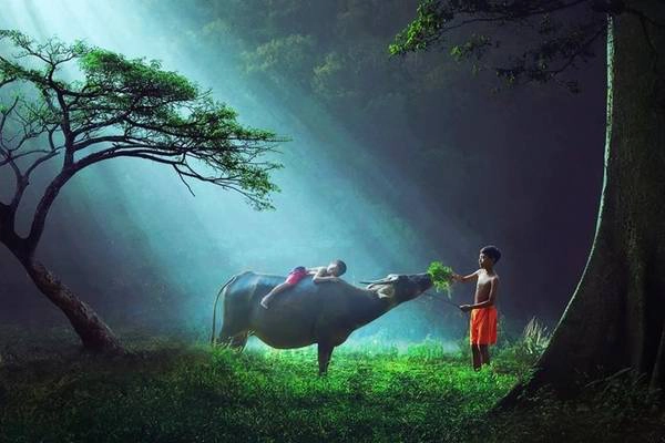Khoảnh khắc vô tư của trẻ em trên khắp hành tinh