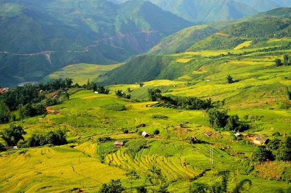 Lịch ‘săn’ lúa chín ở Sa Pa, Mù Cang Chải
