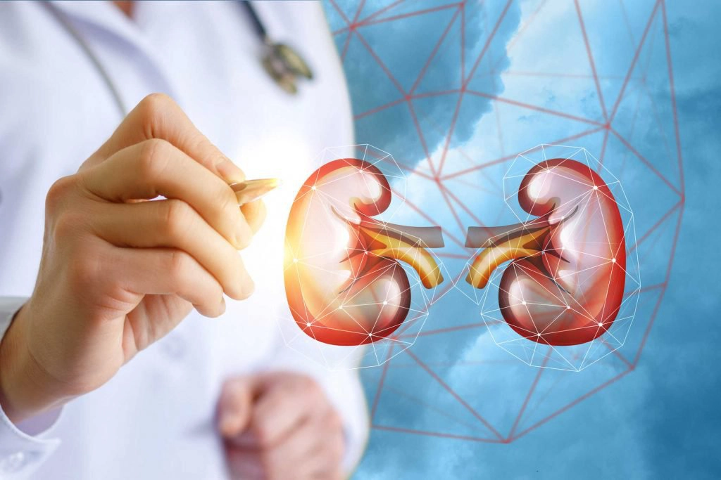 Lưu ý khi dùng thuốc viêm cầu thận
