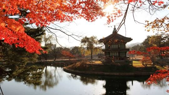 Lý do khiến Seoul trở thành nơi đáng đến ở châu Á