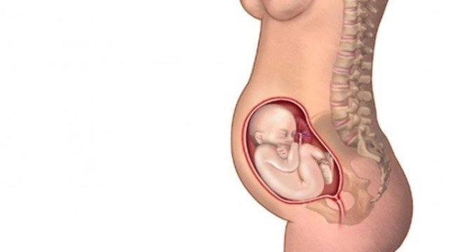 Mẹ bầu bị nhau bám mặt sau là sao?