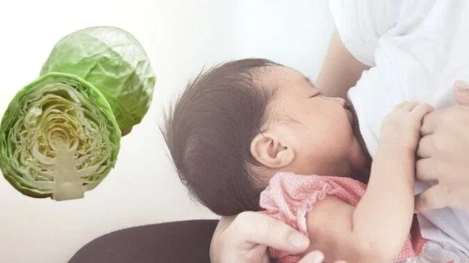 Mẹ sau sinh ăn bắp cải được không?