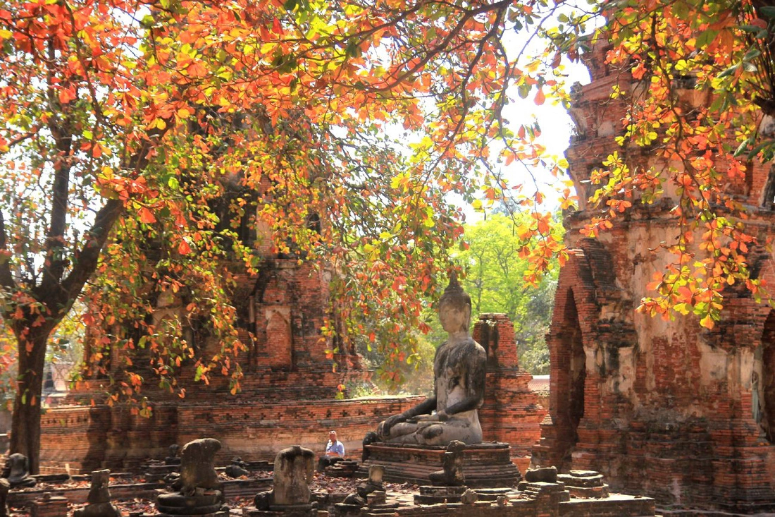 Một ngày thú vị ở cố đô Ayutthaya