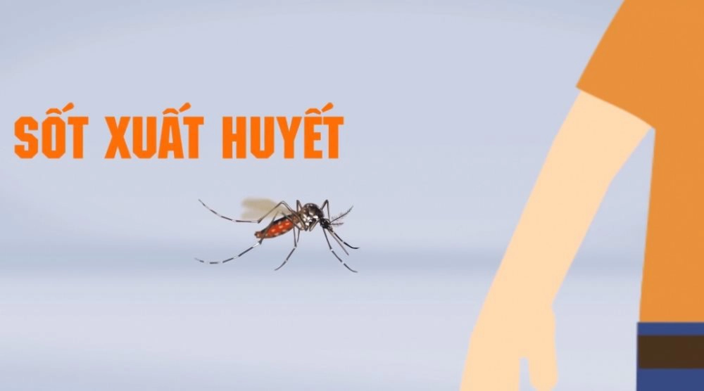 Mùa nào dễ bị sốt xuất huyết?