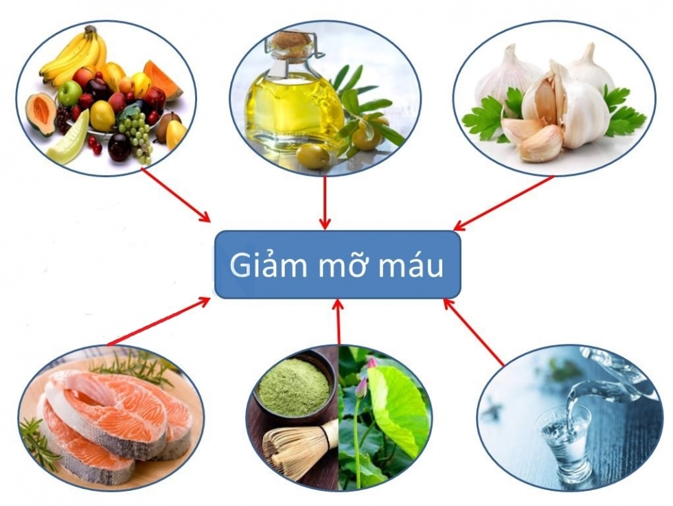 Nên ăn gì để giảm mỡ máu?