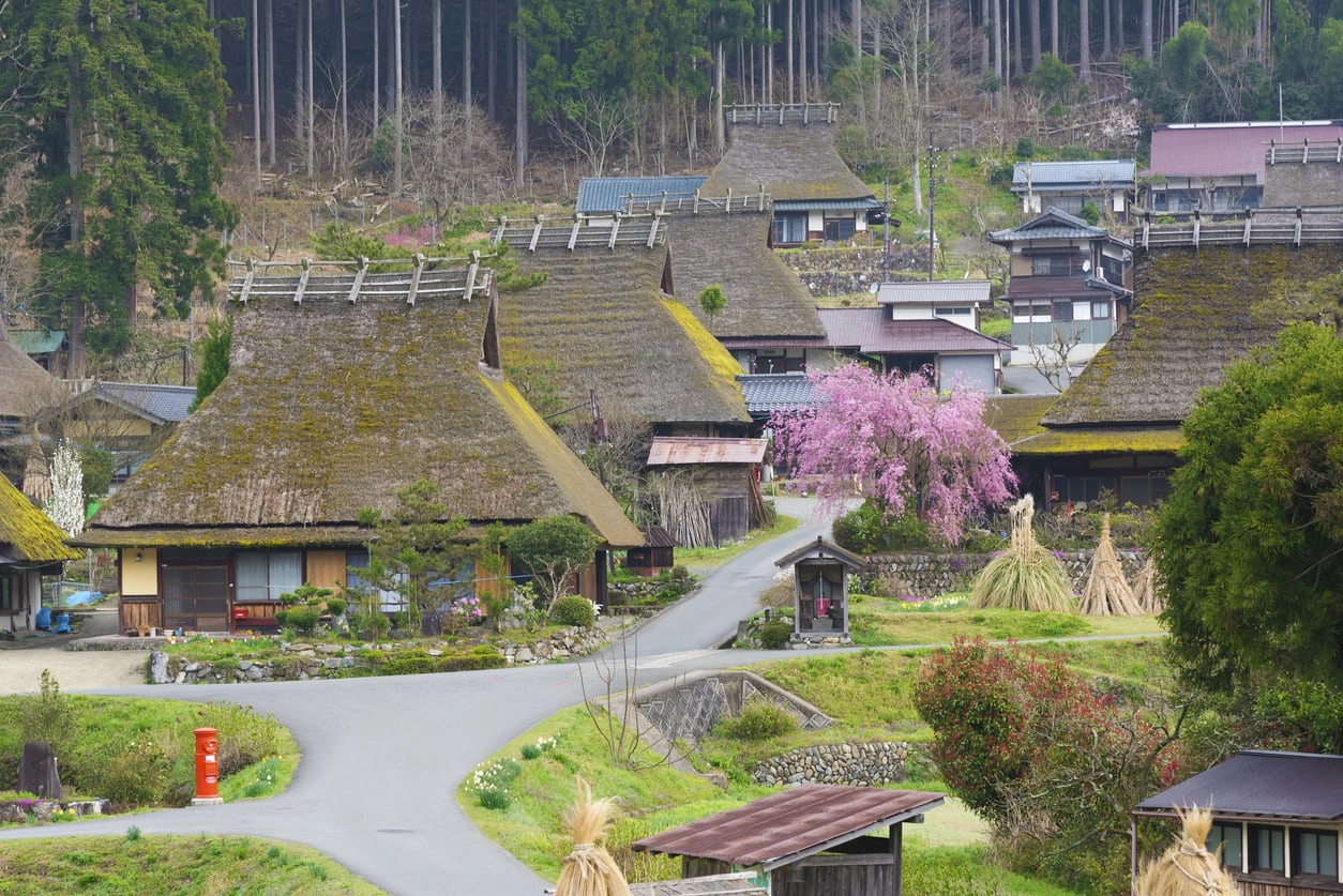 Ngắm hoa anh đào đua sắc ở “đất nước mặt trời mọc” trong tour Nhật Bản 6N5Đ