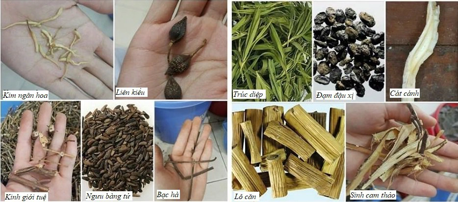 Ngân kiều tán có tác dụng gì với Covid?