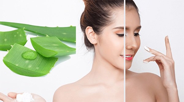 Nha đam tốt cho da nhờn hay không?