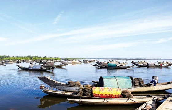 Nhẹ nhàng Chợ nổi trên phá Tam Giang