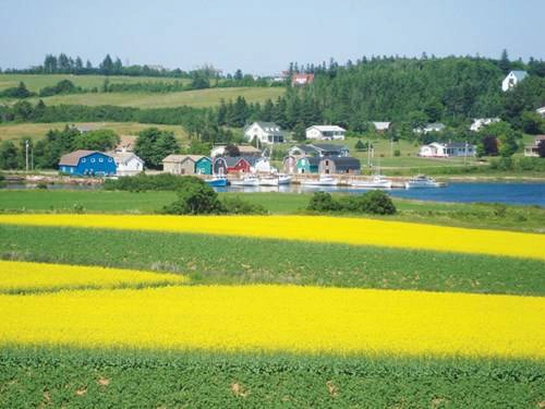 Những cái nhất thế giới ở New Brunswick
