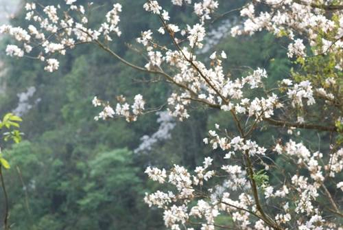 Những điều cần chuẩn bị khi đi phượt Tây Bắc