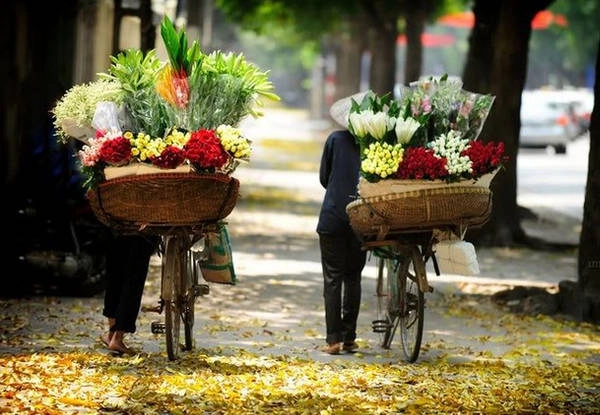 Những điều muốn làm ngay khi gió lạnh đầu mùa