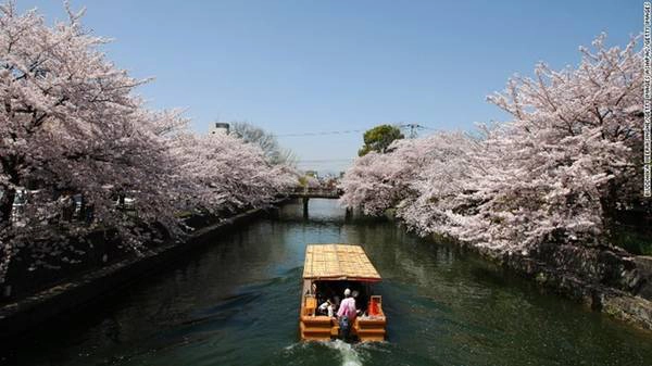 Những điều tuyệt vời nhất của du lịch Kyoto
