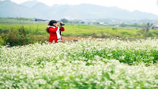 Những gợi ý điểm đến hấp dẫn cho ngày 8/3