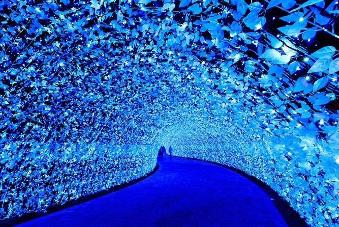 Những lễ hội ánh sáng mùa đông tại Nhật Bản đáng trải nghiệm