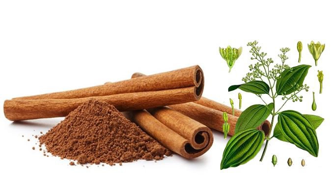 Những lợi ích từ quế đối với sức khỏe