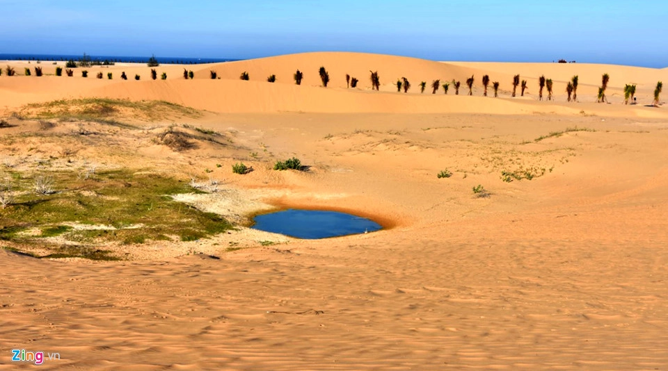 Những trải nghiệm thú vị ở ‘vùng đất sa mạc’ Ninh Thuận