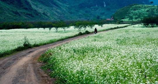 Những vật dụng bạn trẻ muốn sở hữu khi du lịch hè