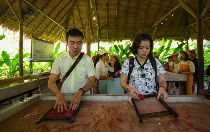 Nơi du khách tự tay làm giấy từ phân voi ở Thái Lan