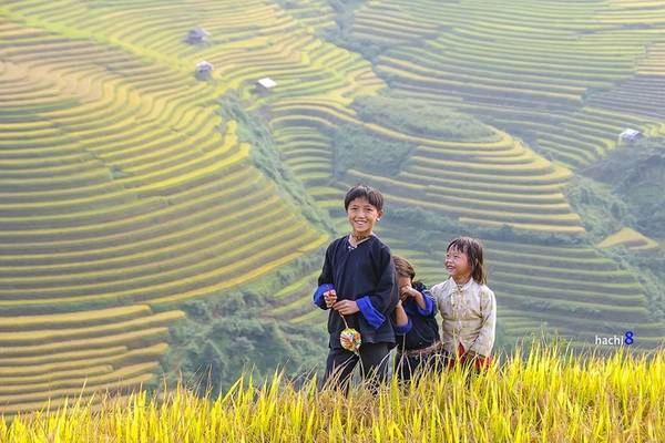 Nụ cười trẻ em Mù Cang Chải mùa lúa chín