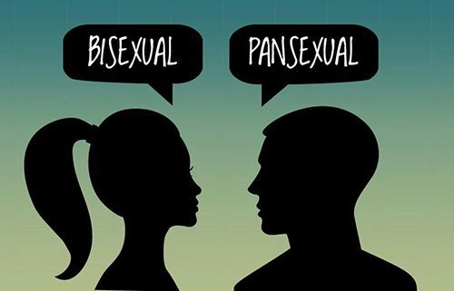 Pansexual là như thế nào? 14 điều cần biết về toàn tính luyến ái