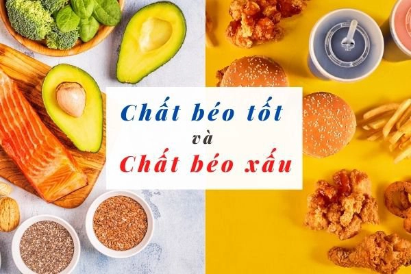 Phân biệt chất béo tốt và chất béo xấu