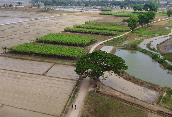 Phim trường ‘Mắt Biếc’ thành điểm tham quan