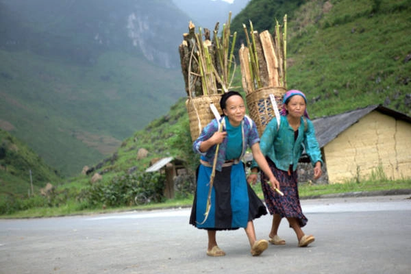 Phố Cáo trong tôi…
