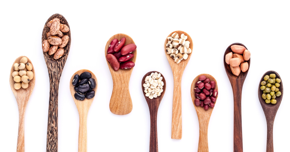 Phytoestrogen có tác dụng gì?