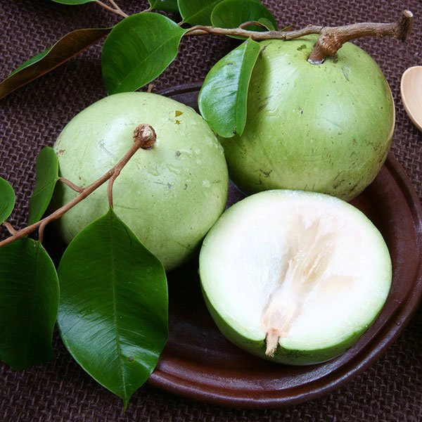 Quả vú sữa bao nhiêu calo?